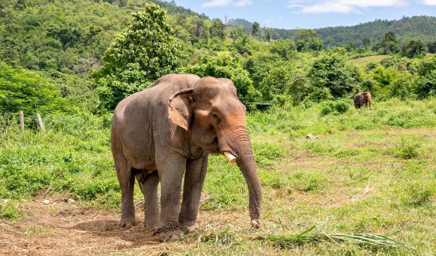 Wild Park Safari Home Stay Удавалаве Екстер'єр фото