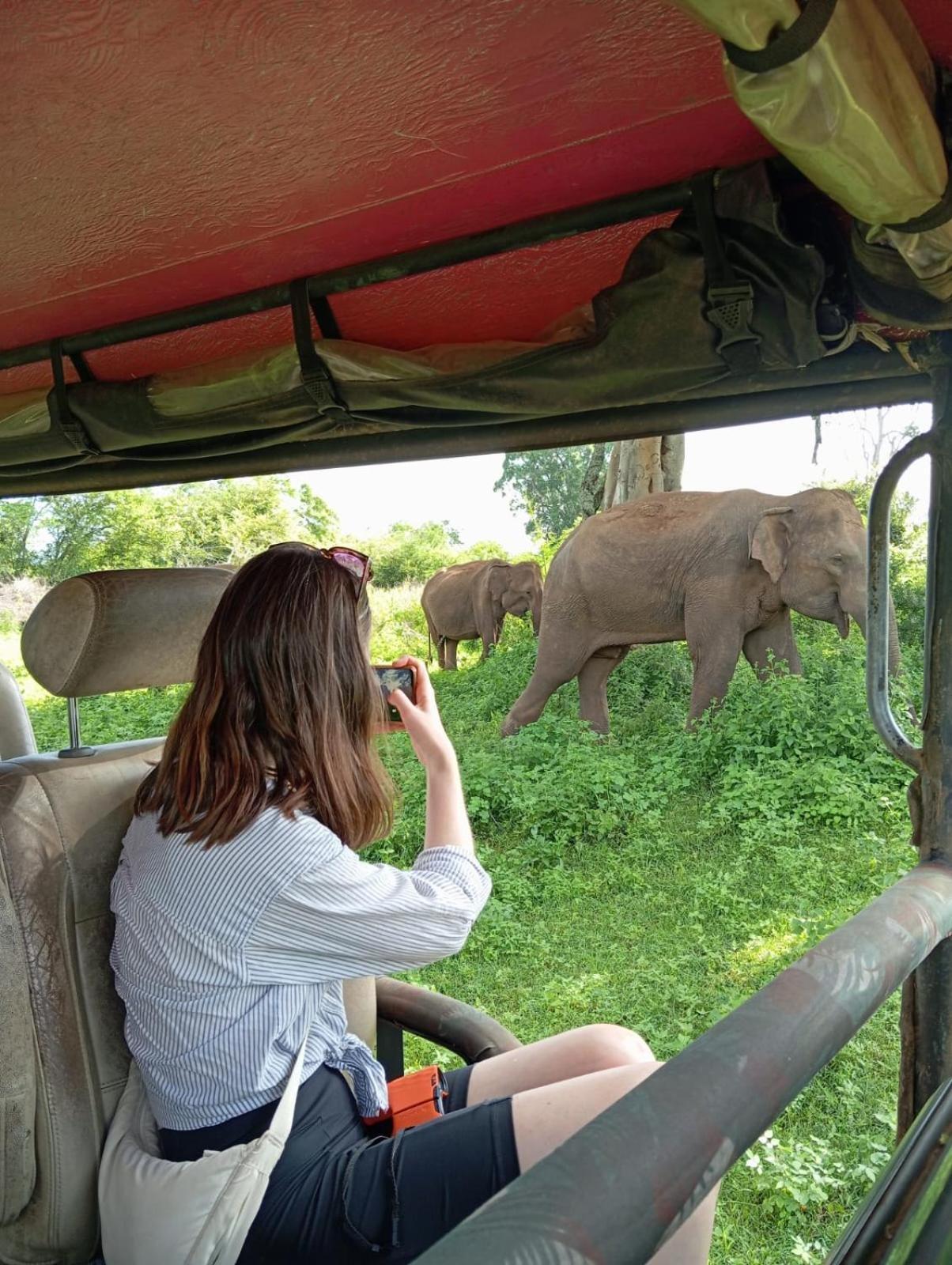 Wild Park Safari Home Stay Удавалаве Екстер'єр фото