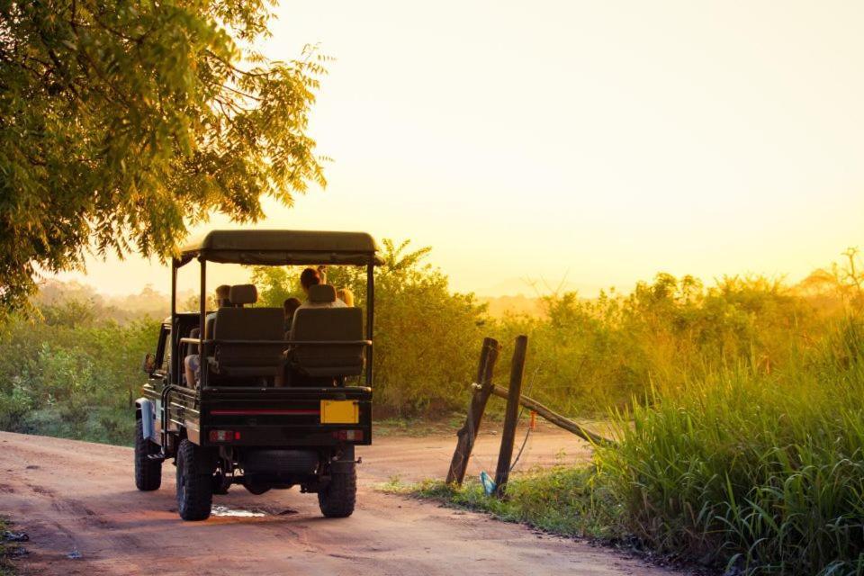 Wild Park Safari Home Stay Удавалаве Екстер'єр фото